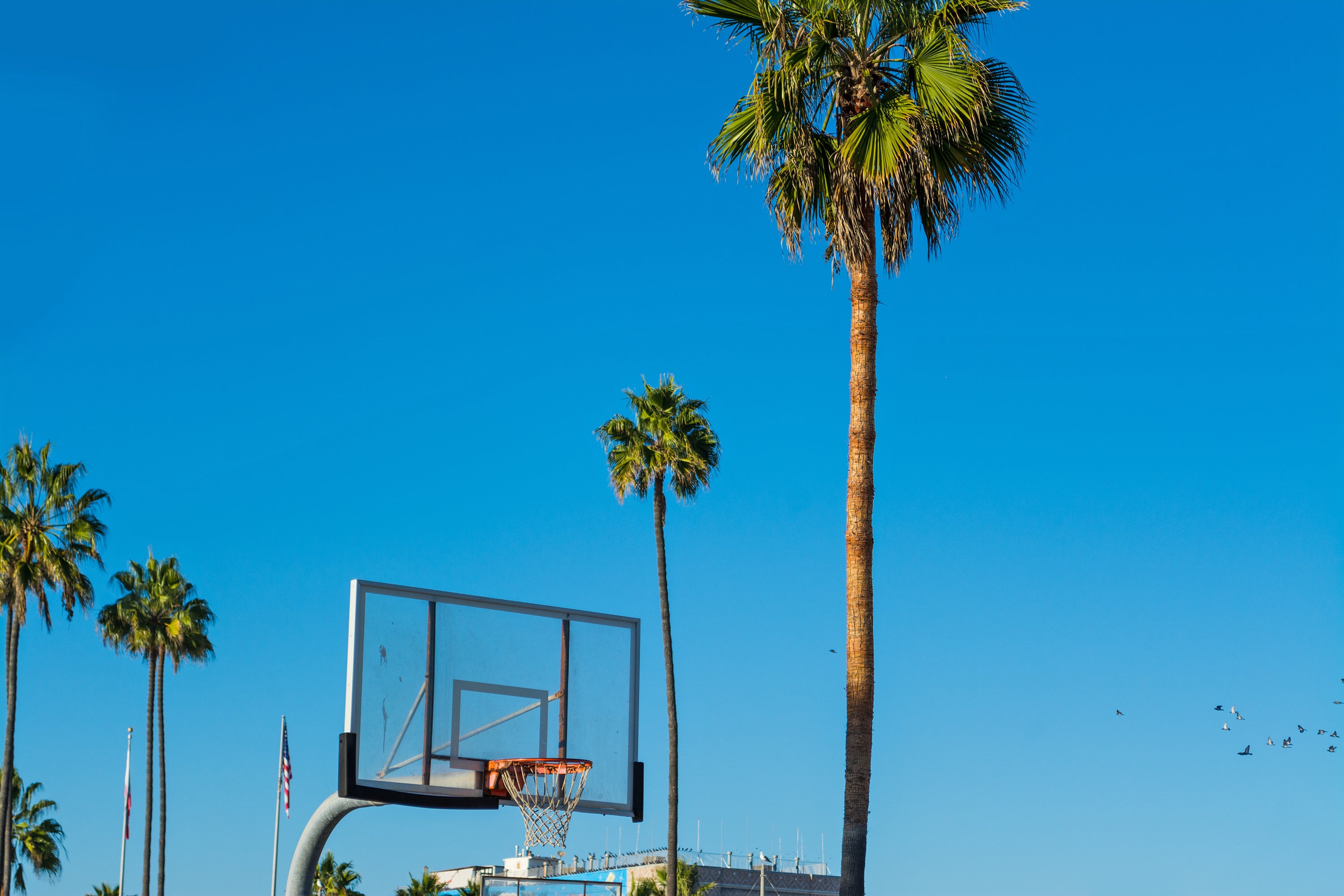 Wandbild Glas - Basketball Motiv
