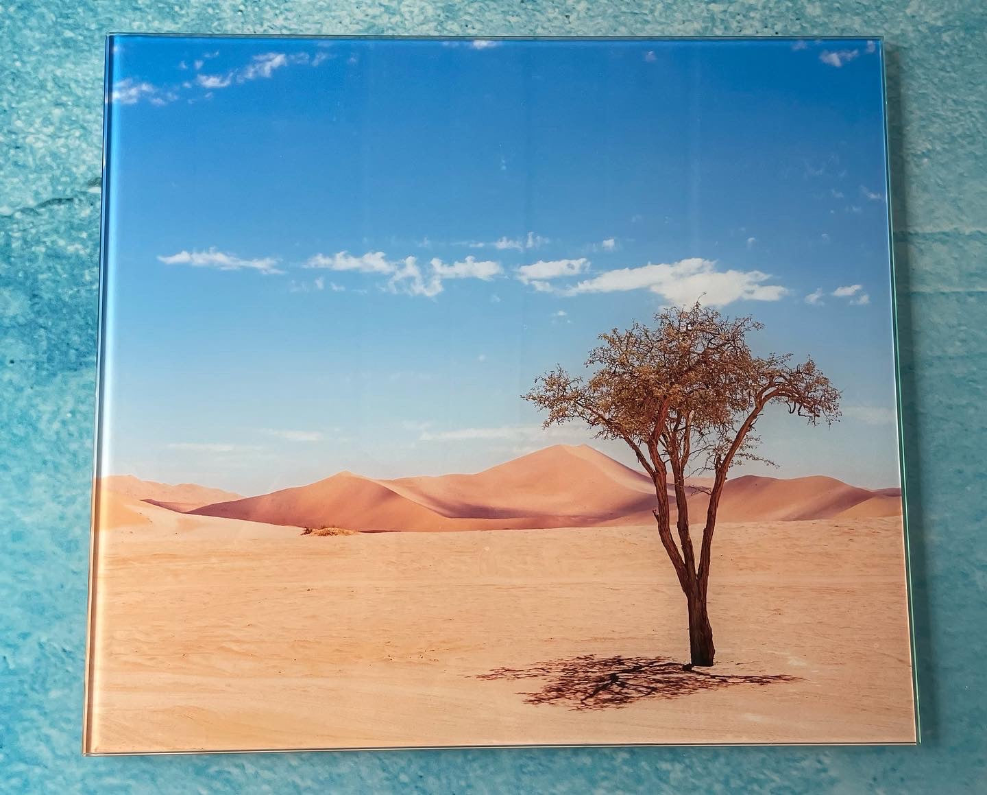 Wandbild Glas - Wüsten Motiv